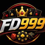 FD999 Game Logo Screenshot