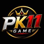 PK11 Game Logo Screenshot
